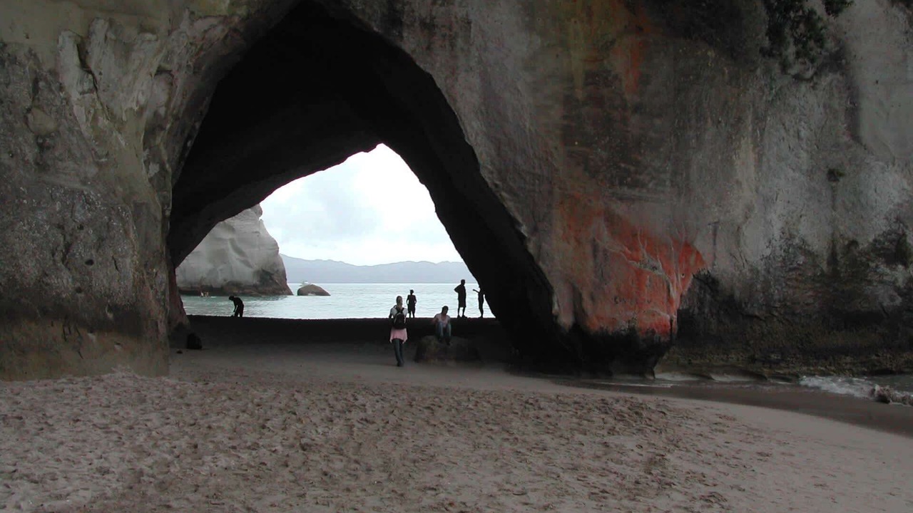 Photo of Others in Whitianga