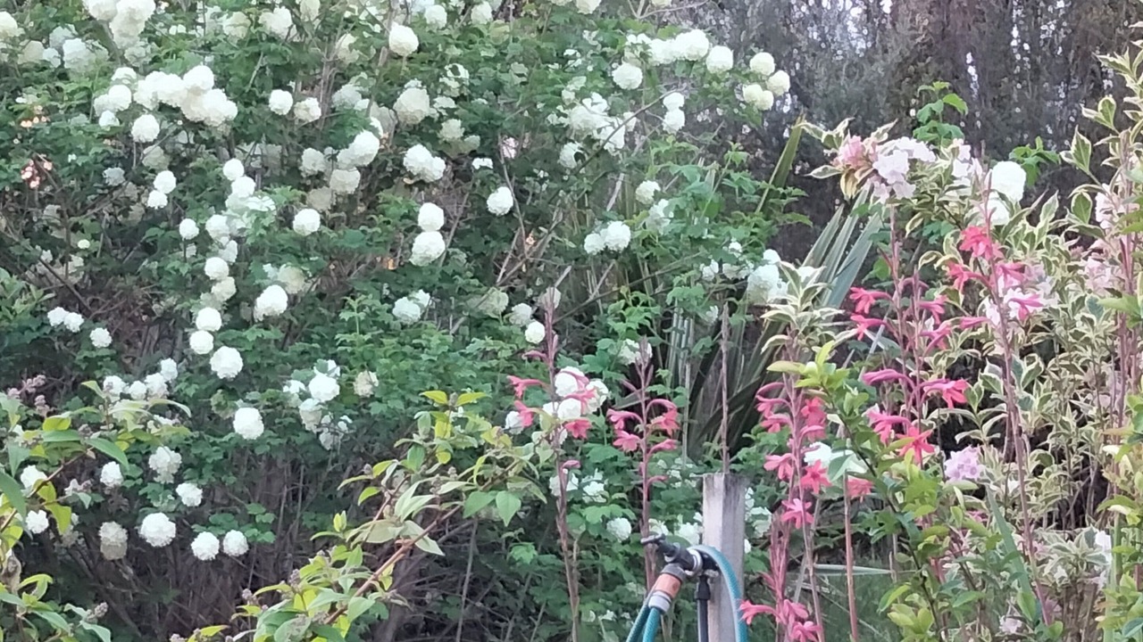 Photo of Outdoor in Omanawa