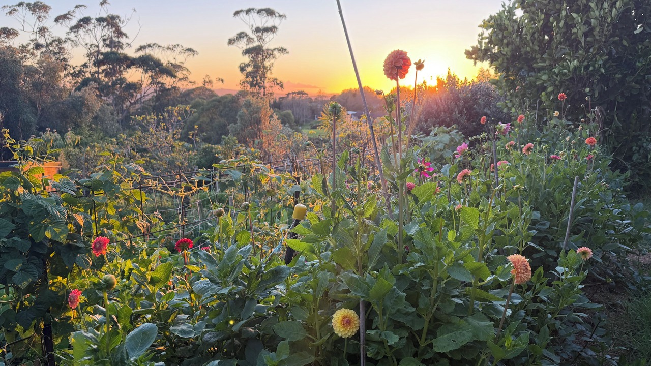 Photo of Outdoor in Matakatia