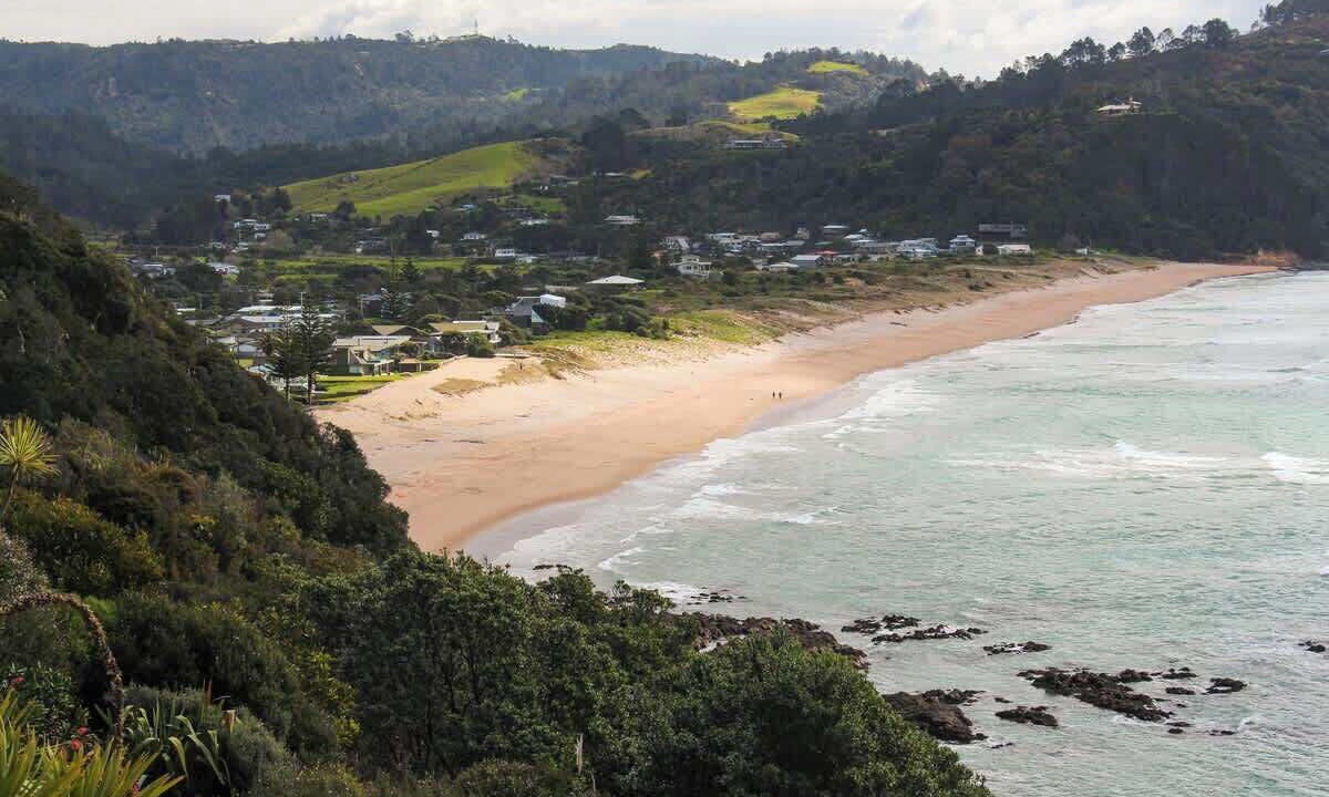 Photo of Others in Tairua
