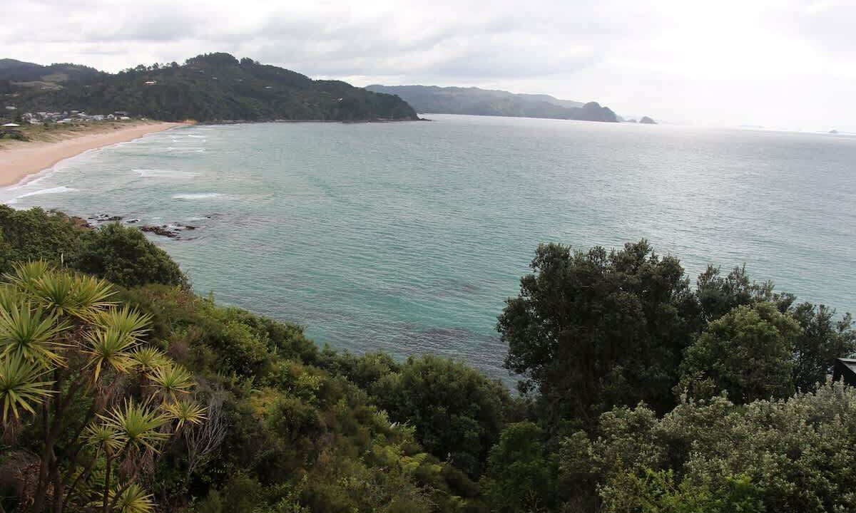 Photo of Others in Tairua