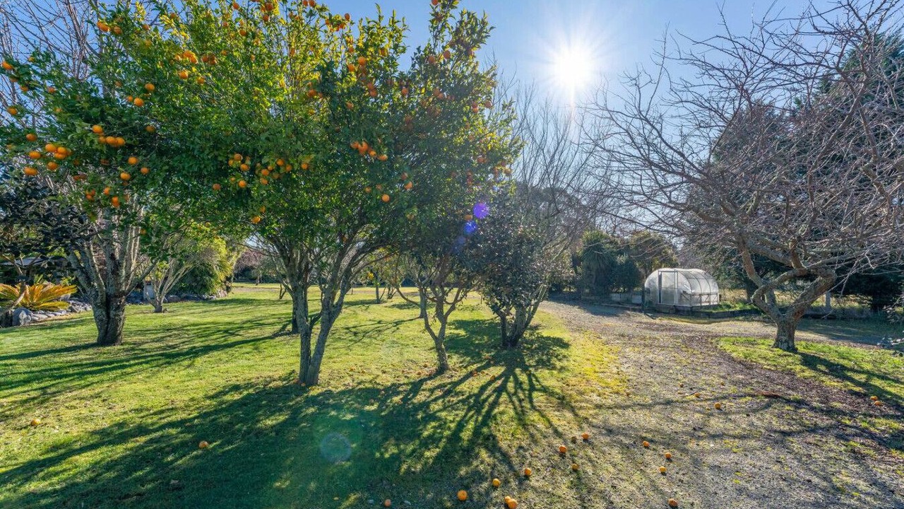 Photo of Outdoor in Turangi