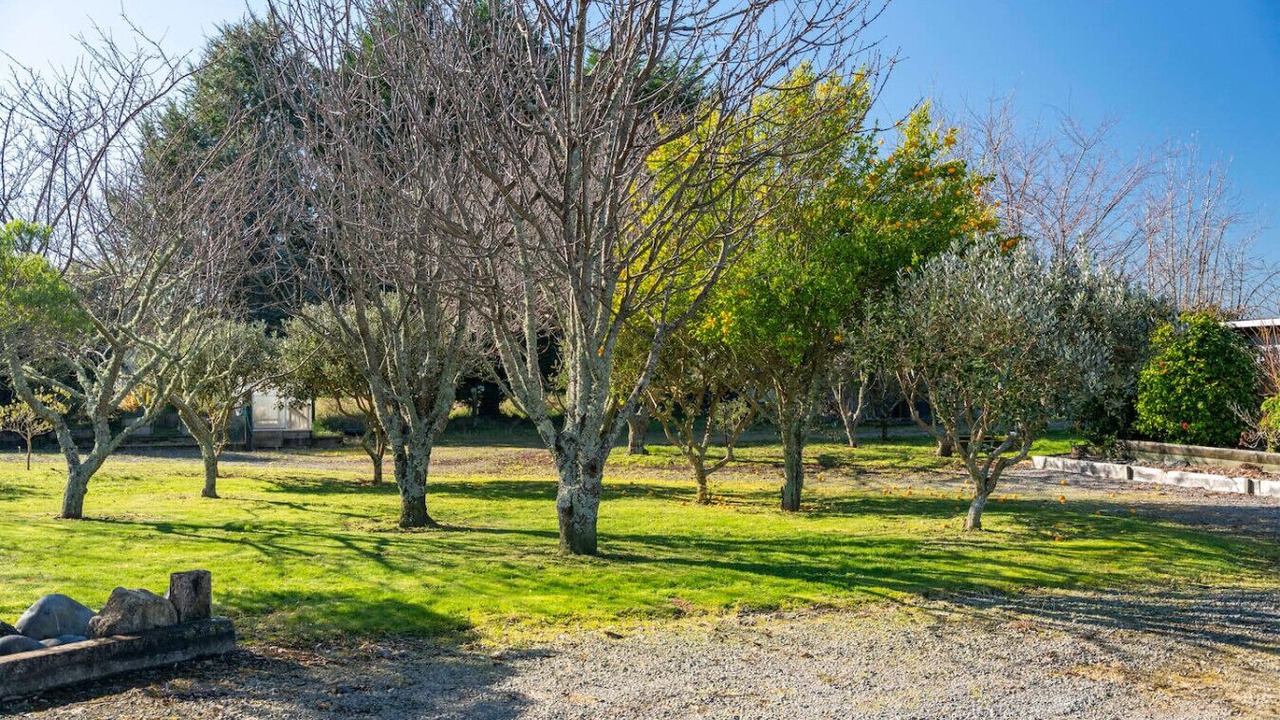 Photo of Outdoor in Turangi