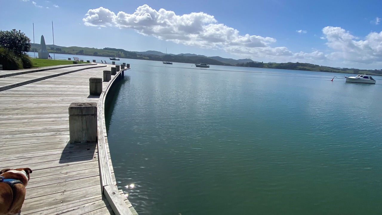 Photo of Others in Mangonui