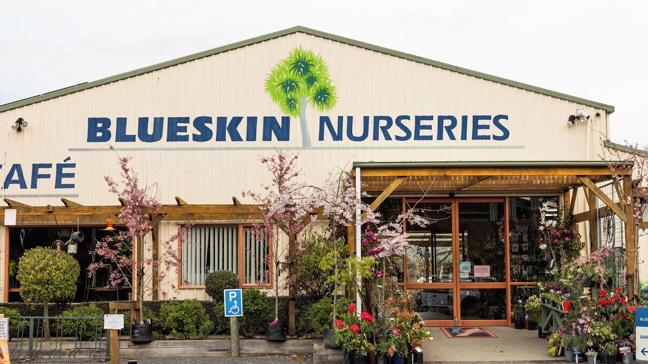 Photo of Outdoor in Dunedin