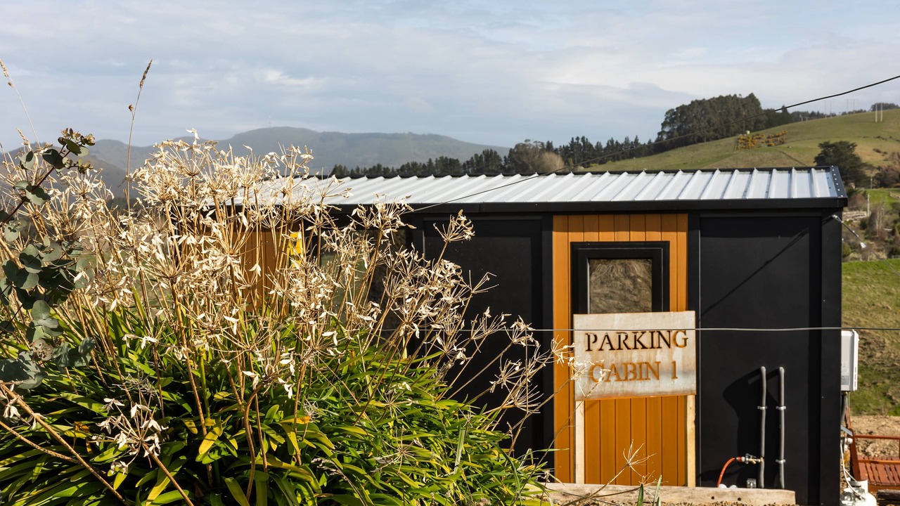 Photo of Outdoor in Dunedin