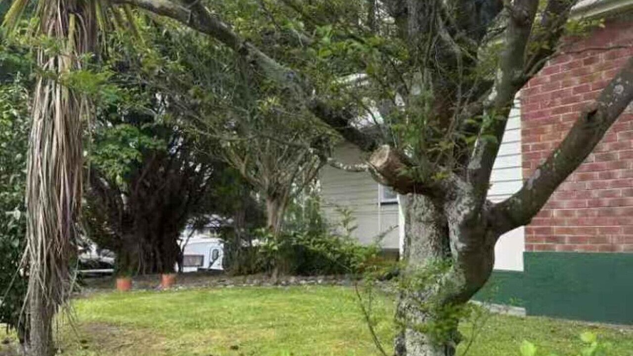 Photo of Outdoor in Palmerston North