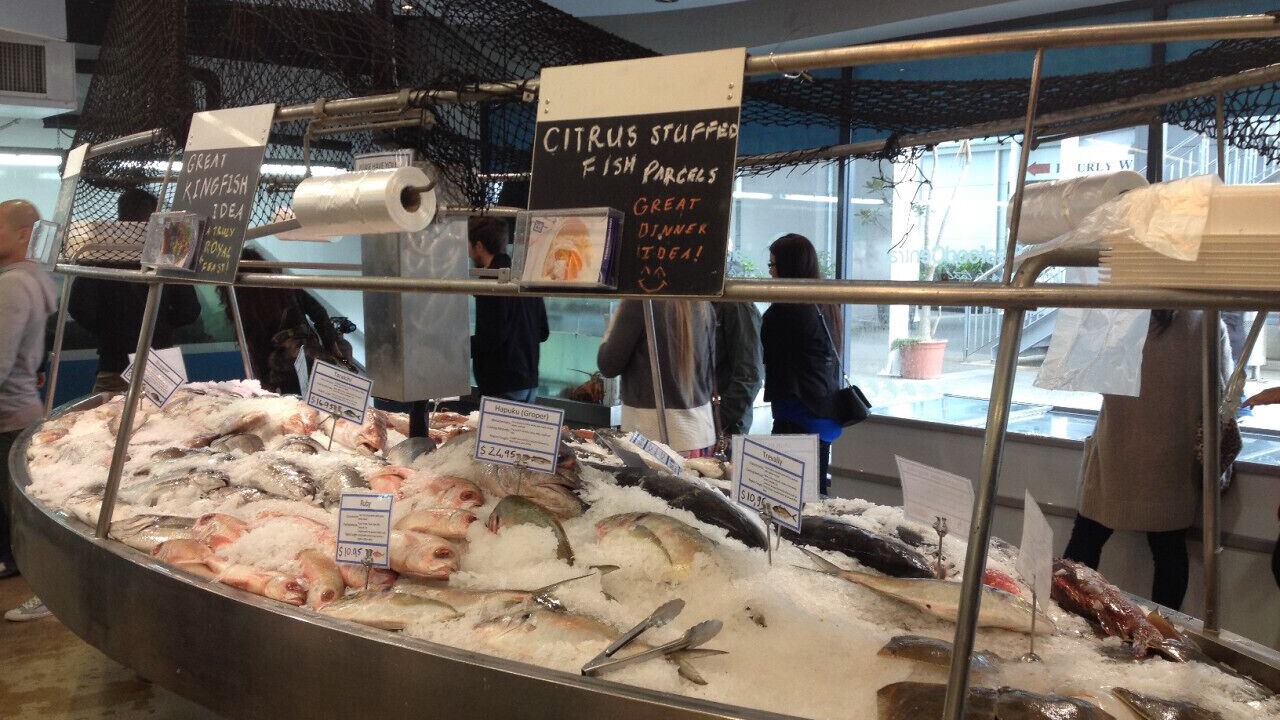 Photo of Others in Auckland Central Business District