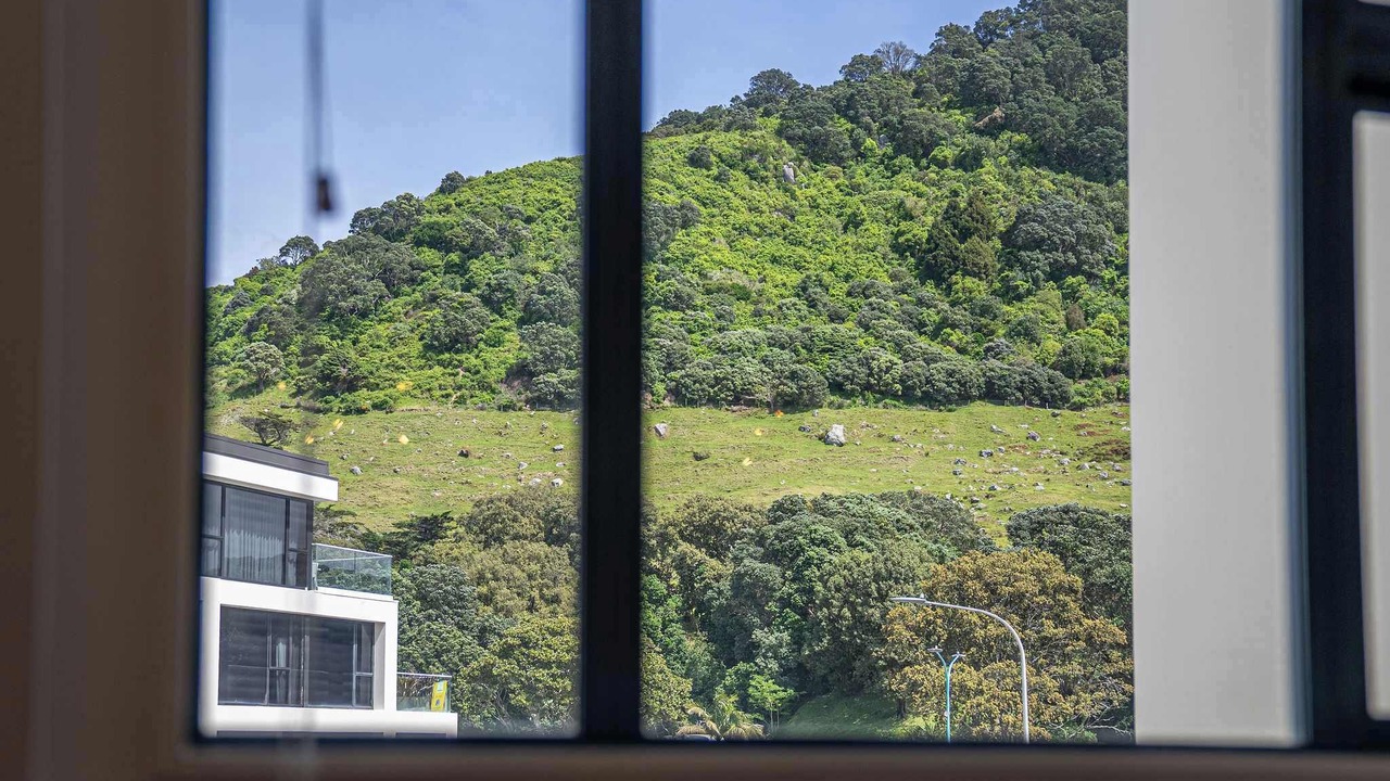 Photo of Others in Mount Maunganui
