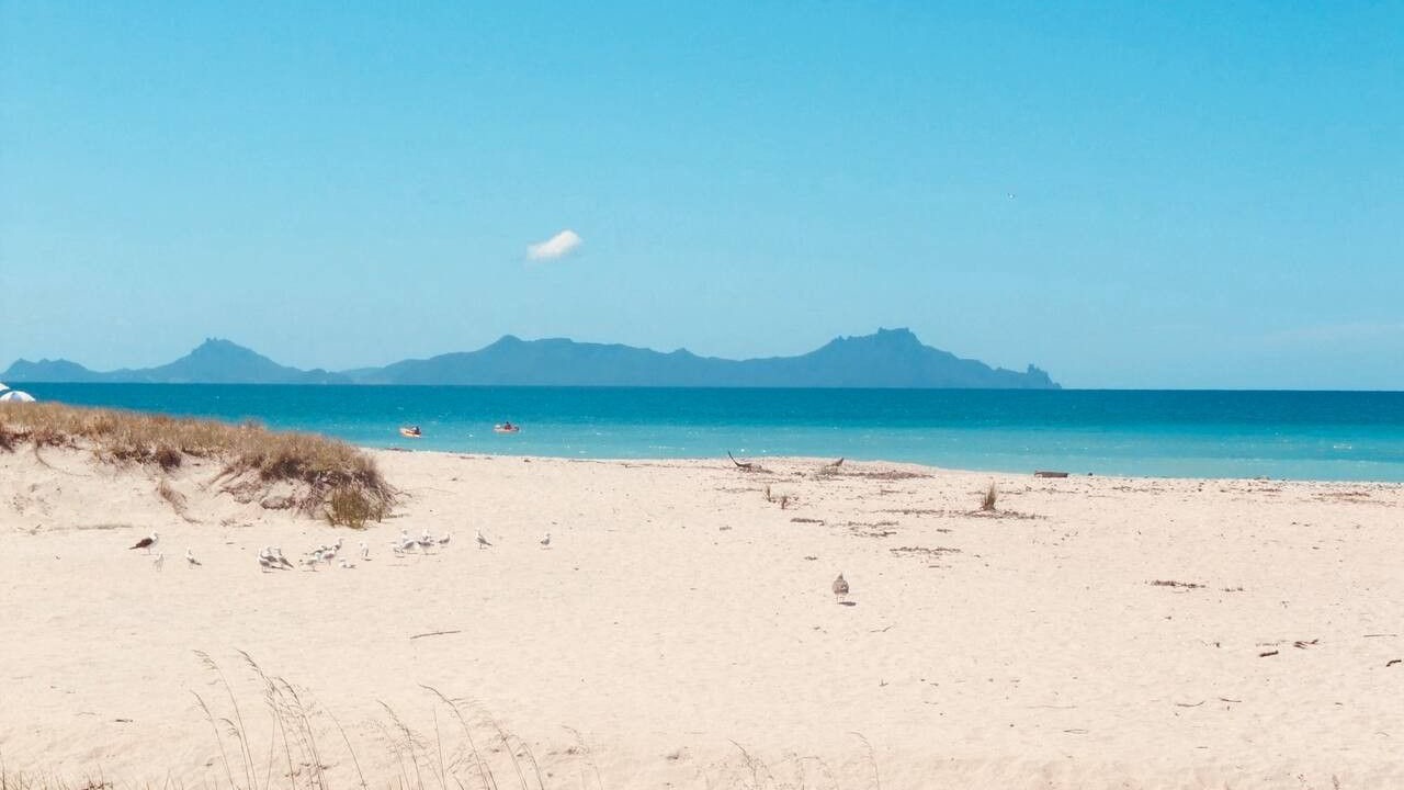 Photo of Others in Langs Beach