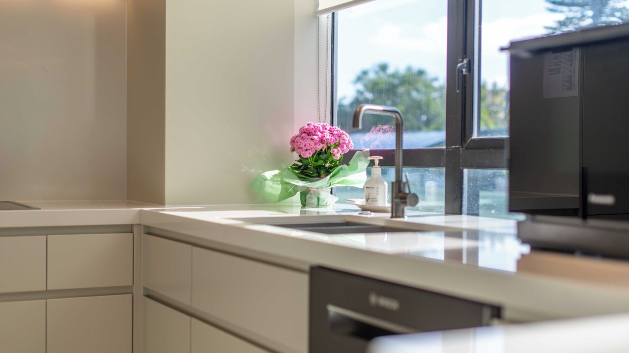 Photo of Kitchen in Remuera