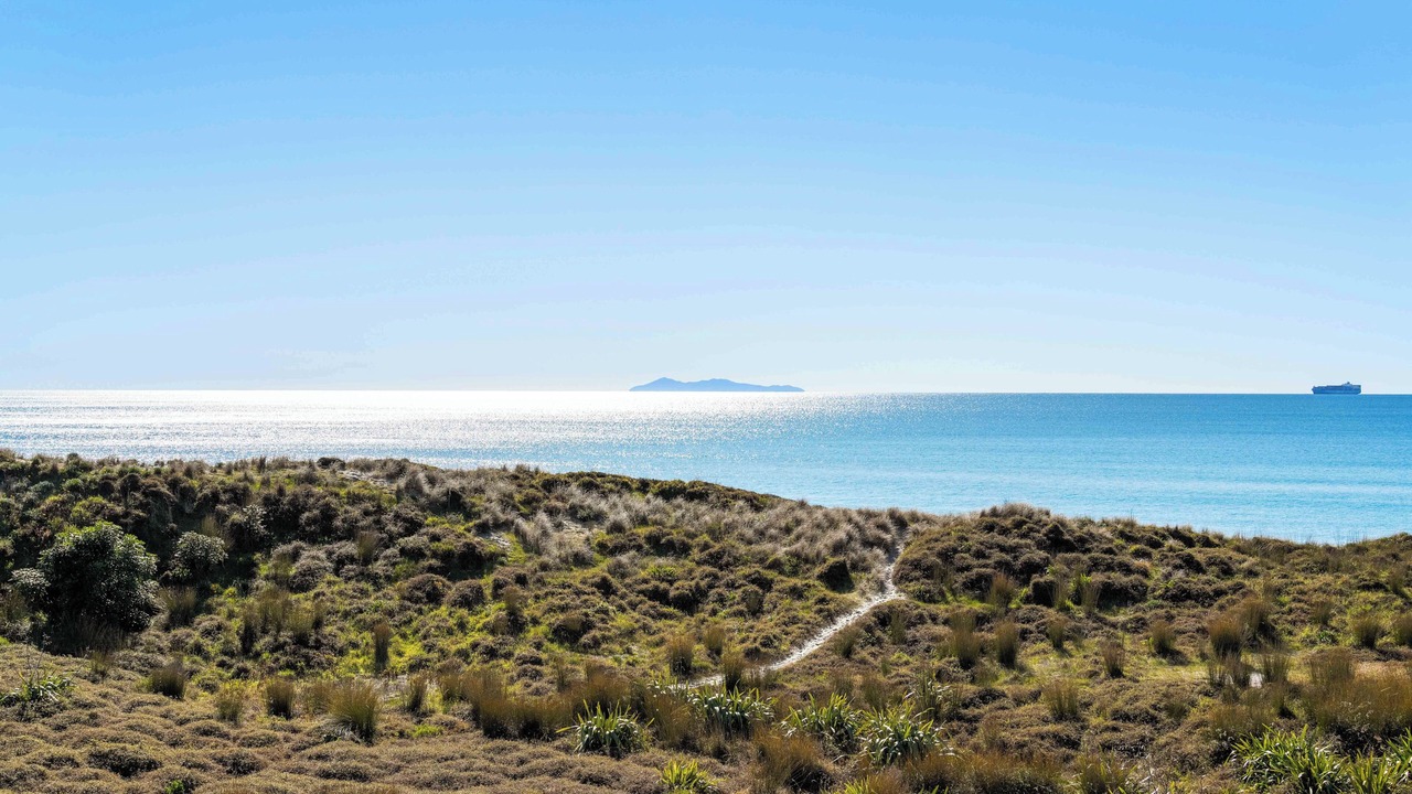 Photo of Others in Mount Maunganui