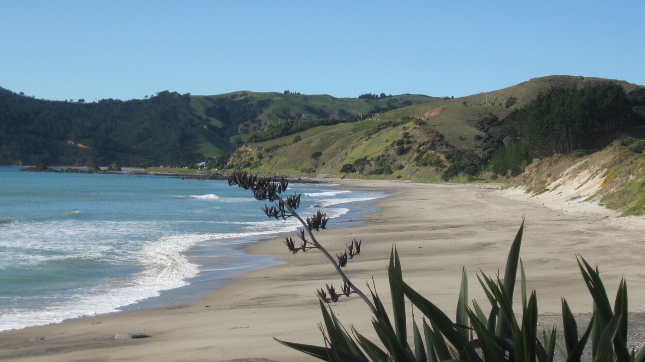Photo of Others in Matarangi