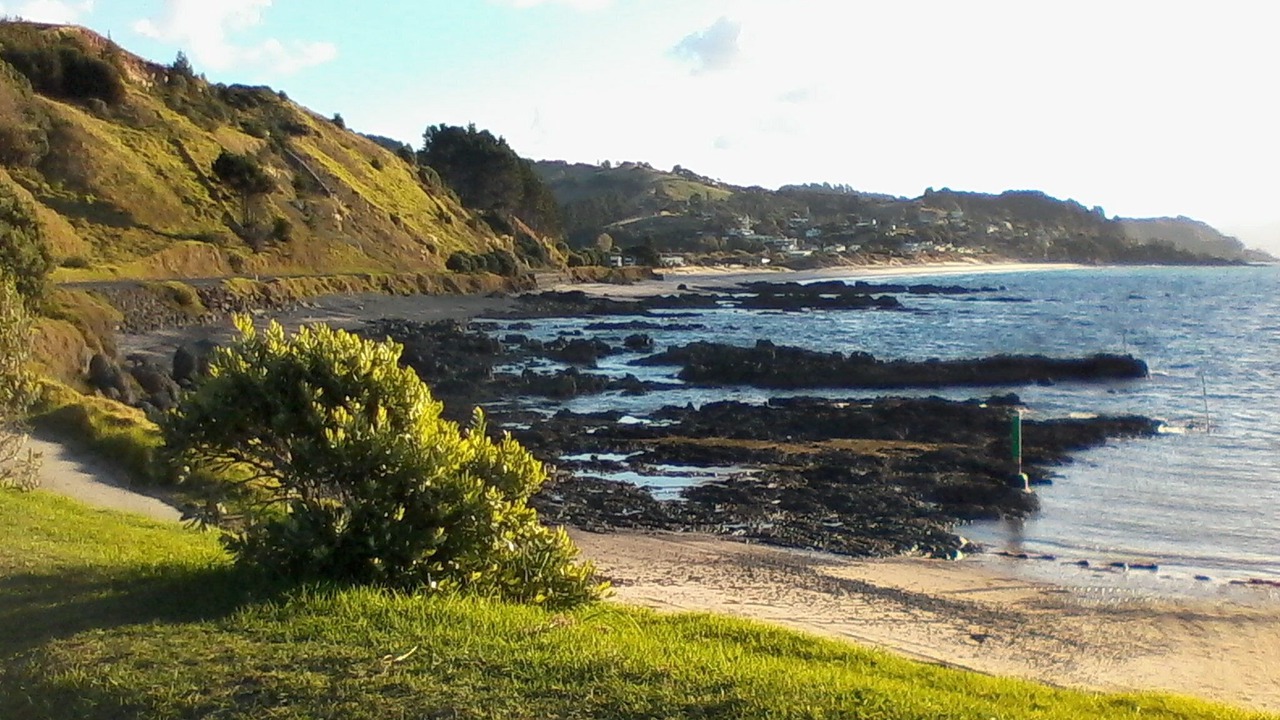 Photo of Others in Matarangi