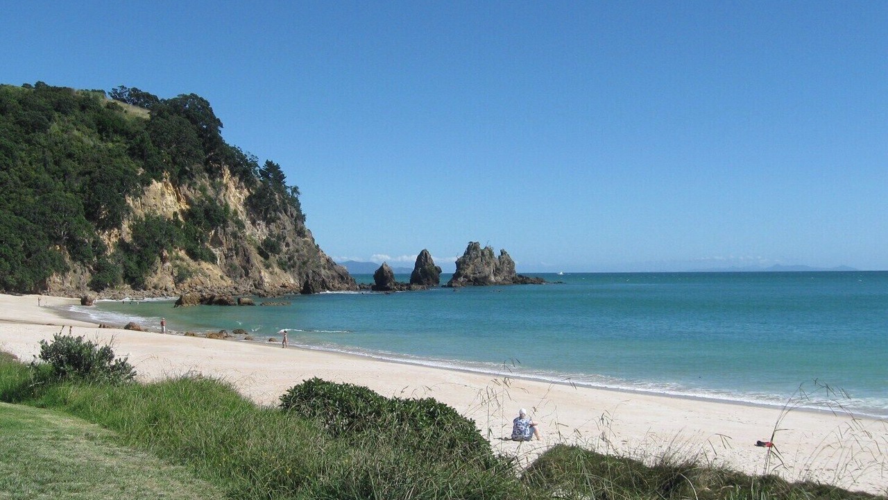 Photo of Others in Matarangi