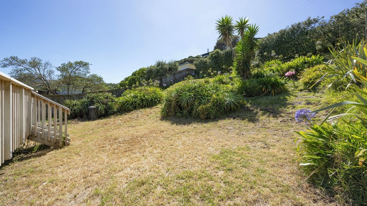 Photo of Outdoor in Piha