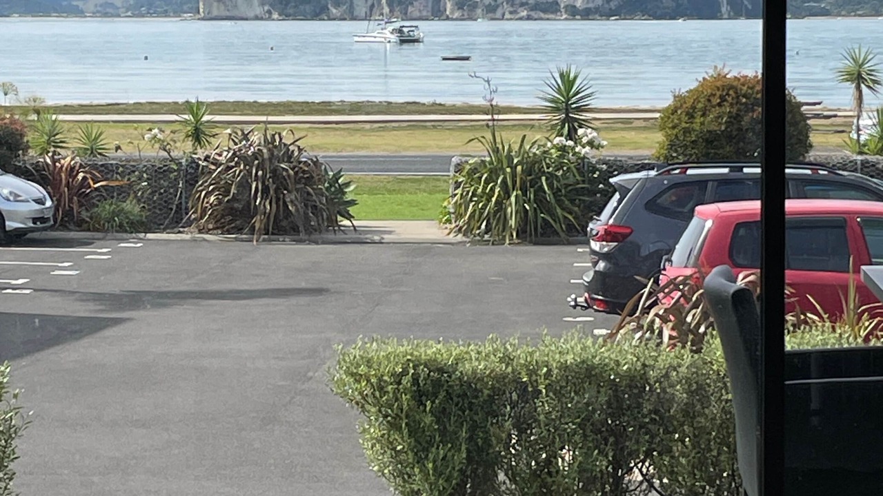 Photo of Others in Whitianga