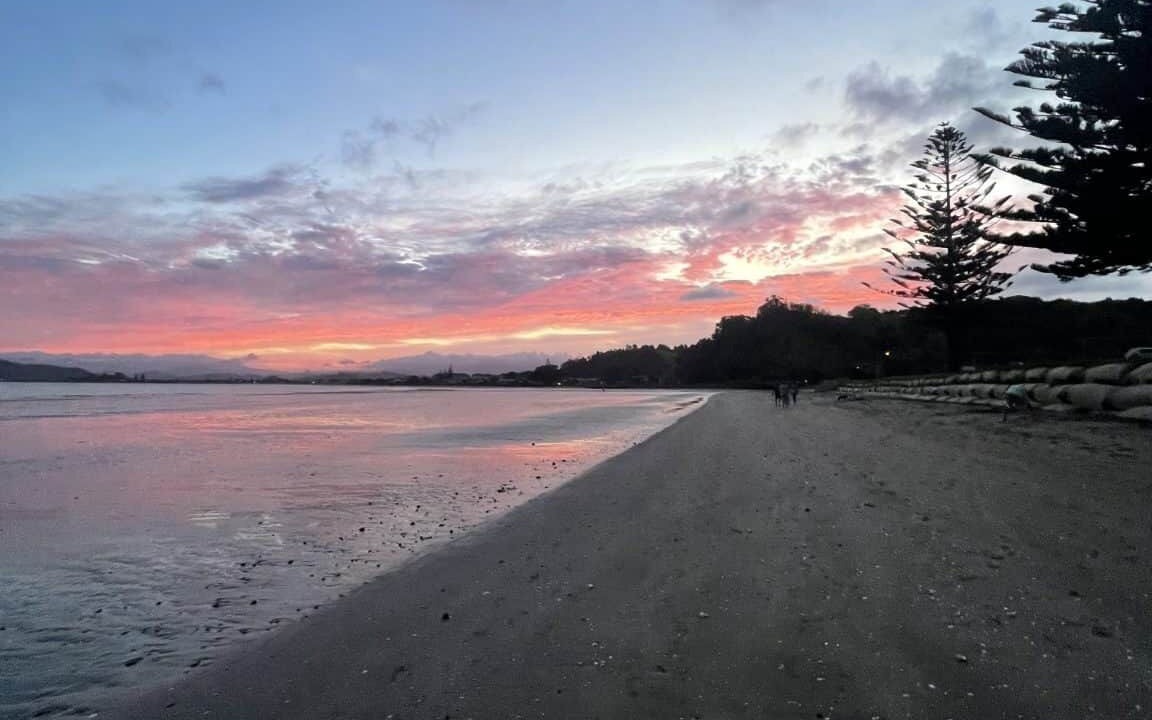 Photo of Others in Whitianga