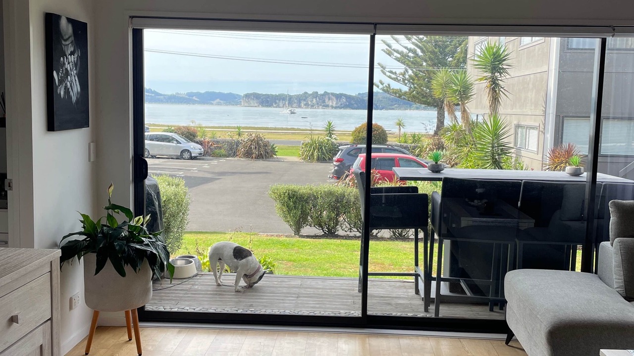 Photo of Others in Whitianga