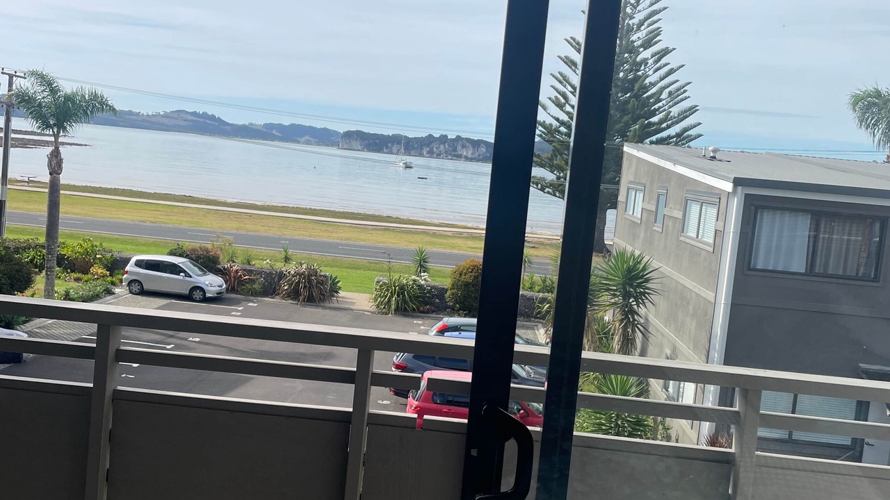 Photo of Others in Whitianga