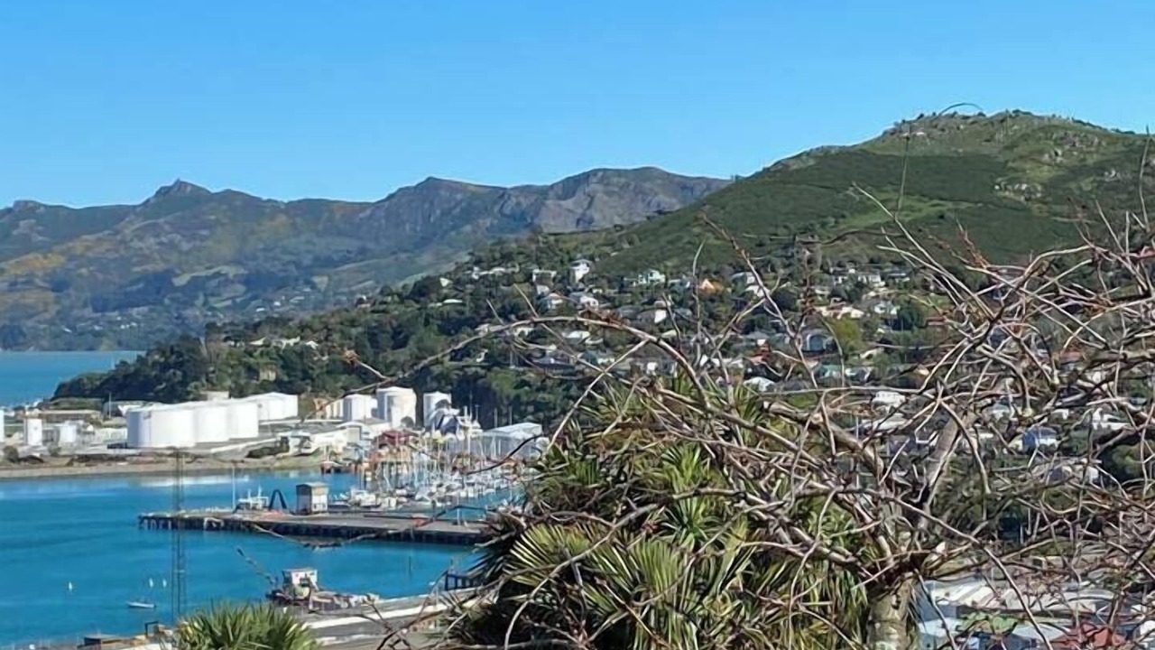 Photo of Others in Lyttelton