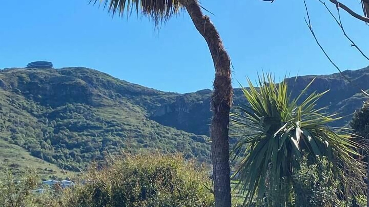 Photo of Others in Lyttelton
