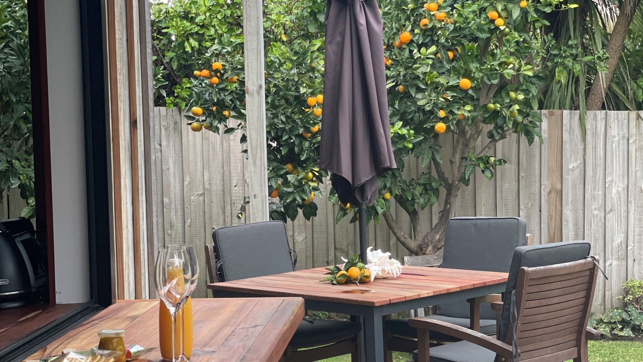 Photo of Outdoor in Waihi Beach