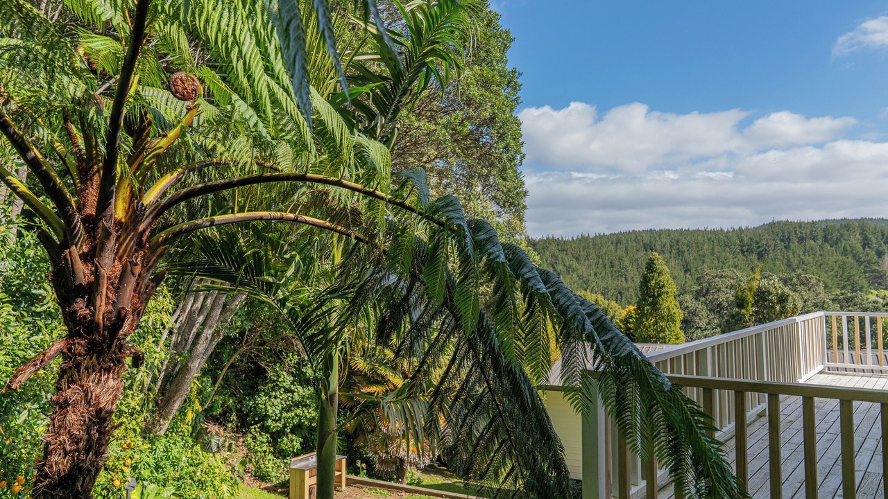 Photo of Outdoor in Onemana