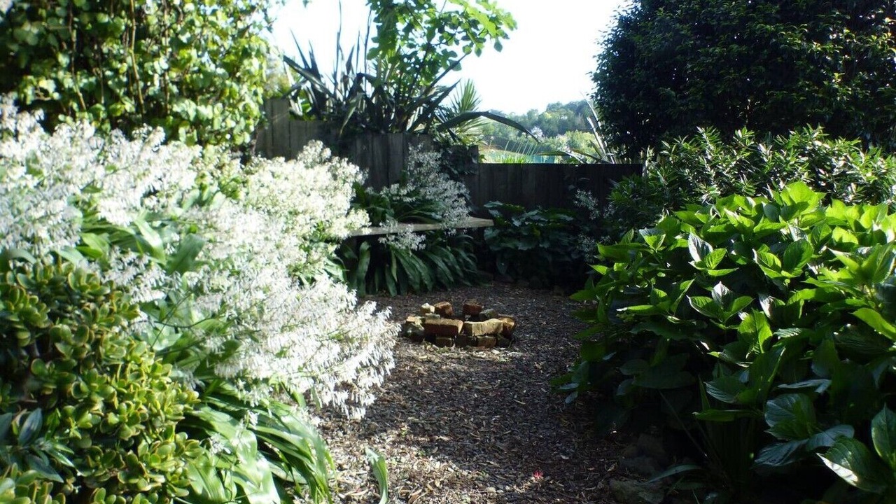 Photo of Outdoor in Waiotahi