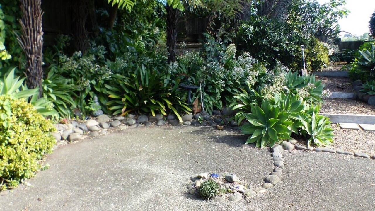 Photo of Outdoor in Waiotahi