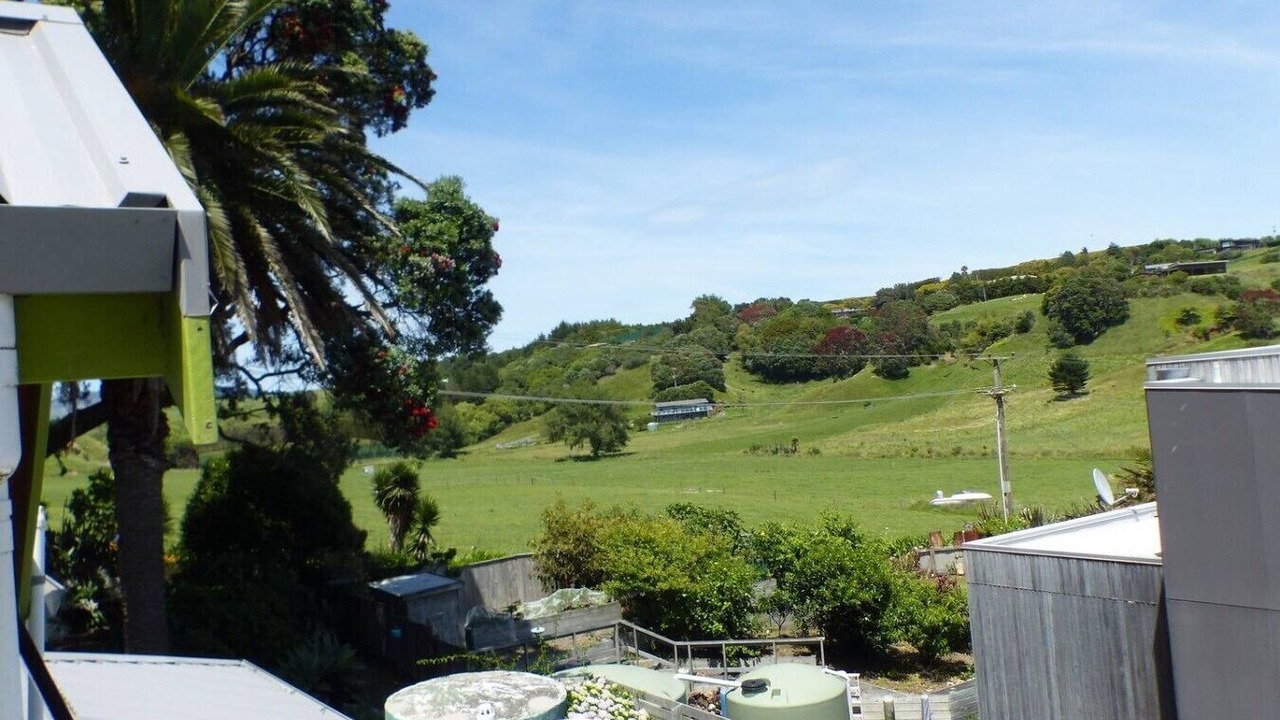 Photo of Outdoor in Waiotahi