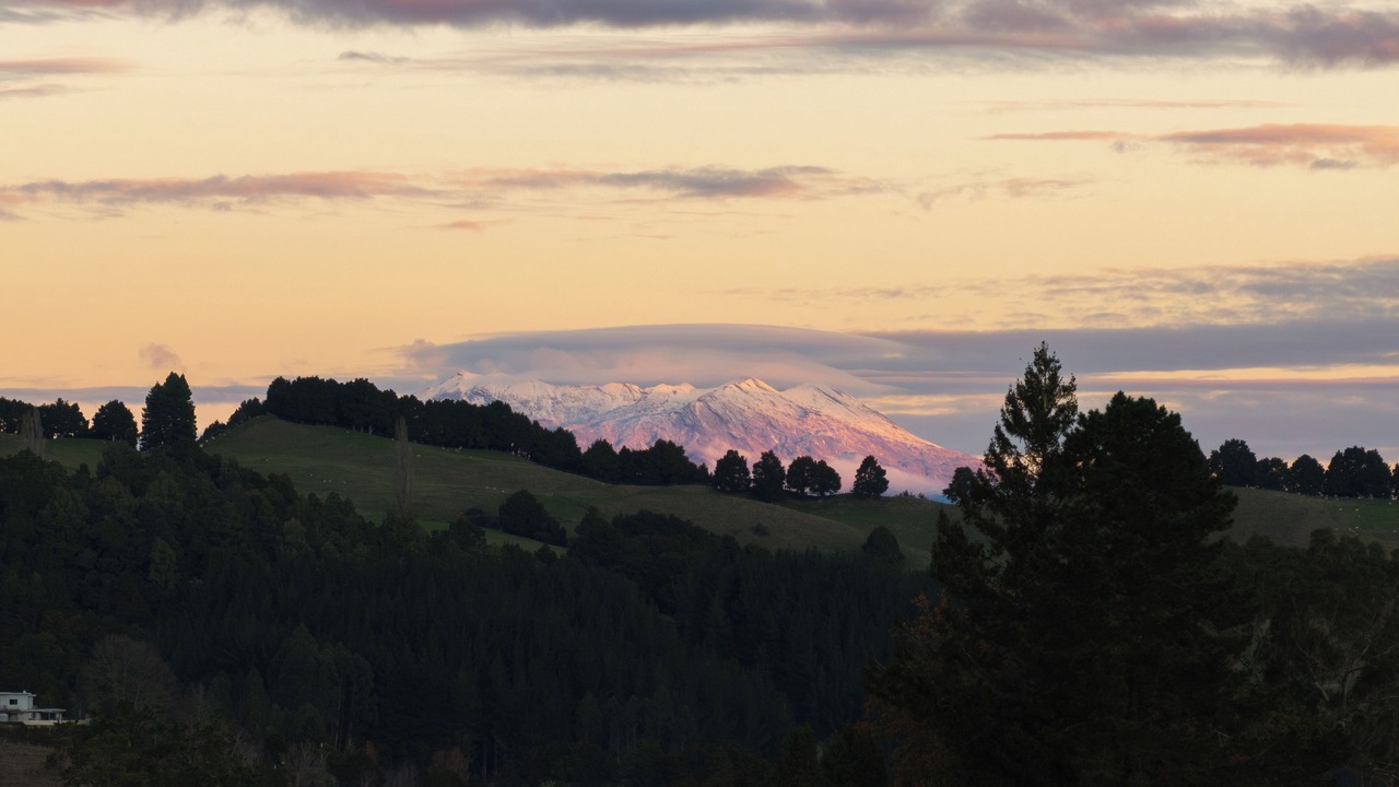 Photo of Others in Taumarunui
