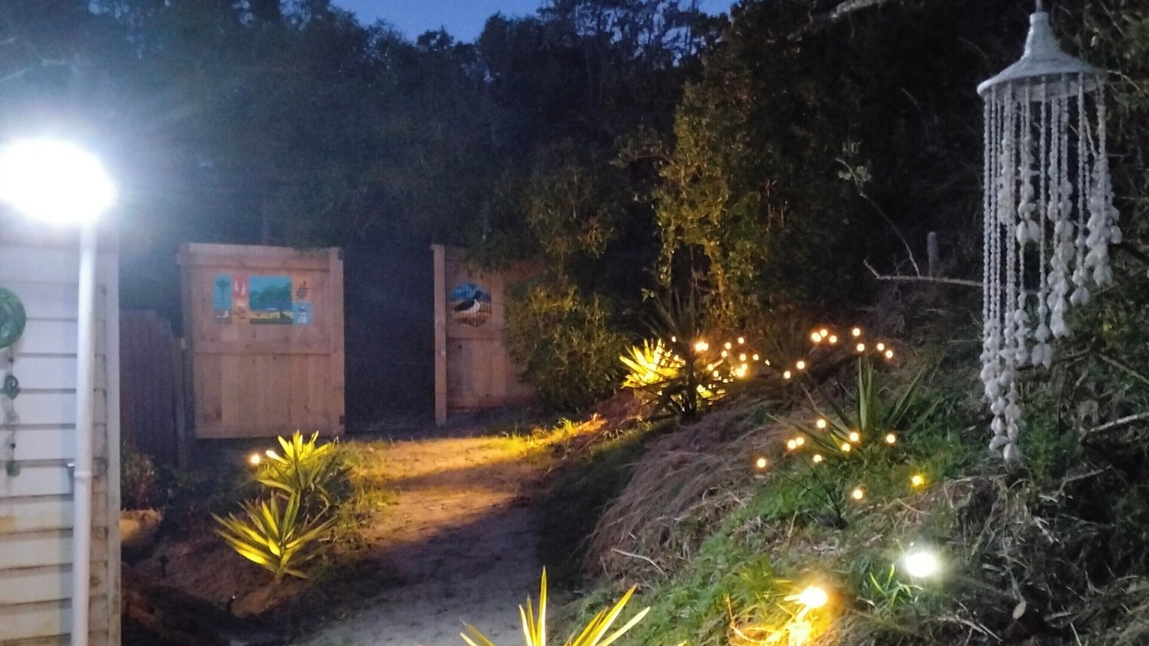 Photo of Outdoor in Dunedin
