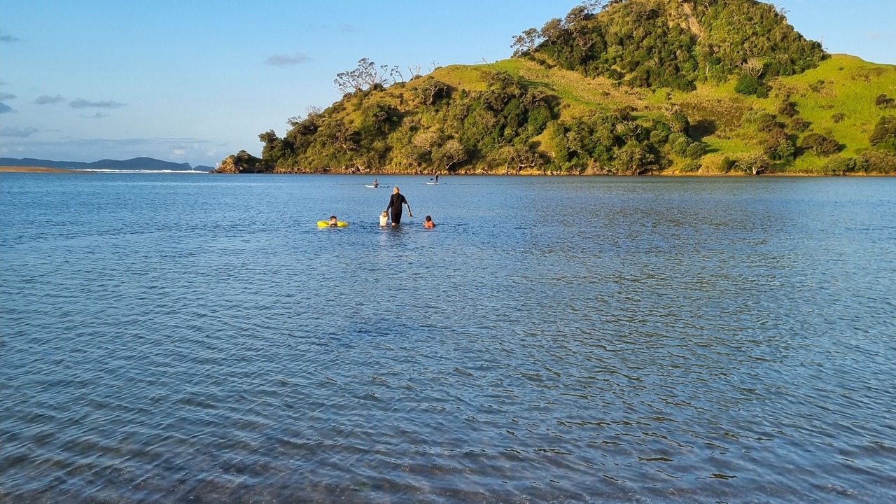 Photo of Others in Pataua