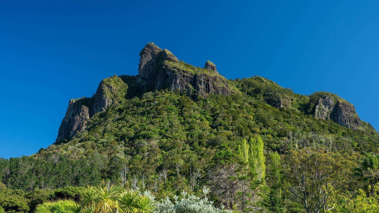 Photo of Others in Whangarei Heads