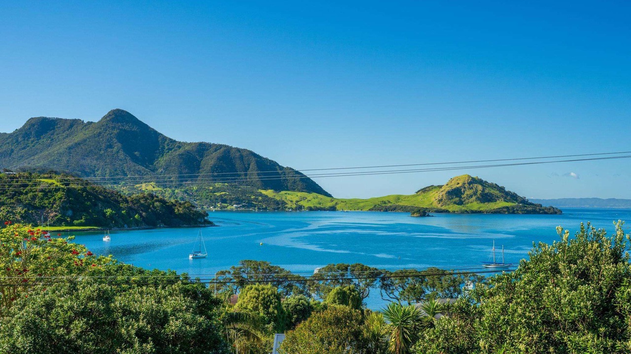 Photo of Others in Whangarei Heads