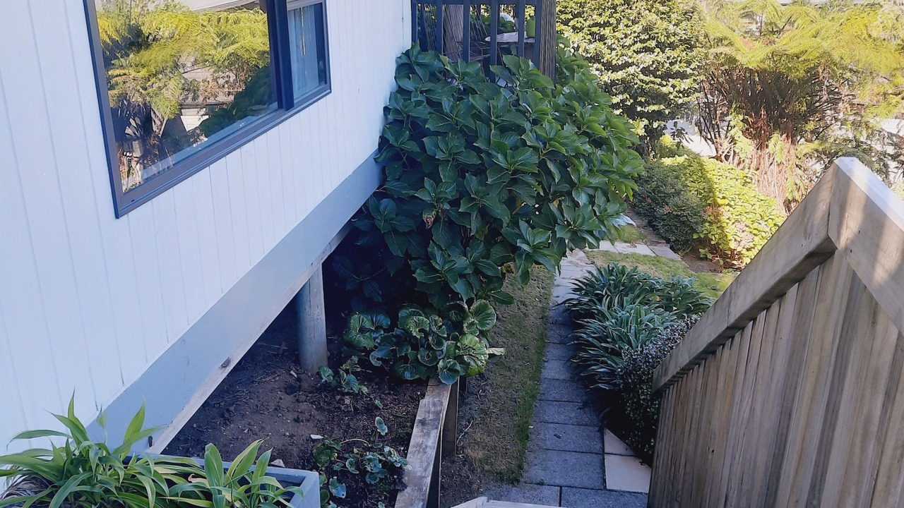 Photo of Outdoor in New Plymouth