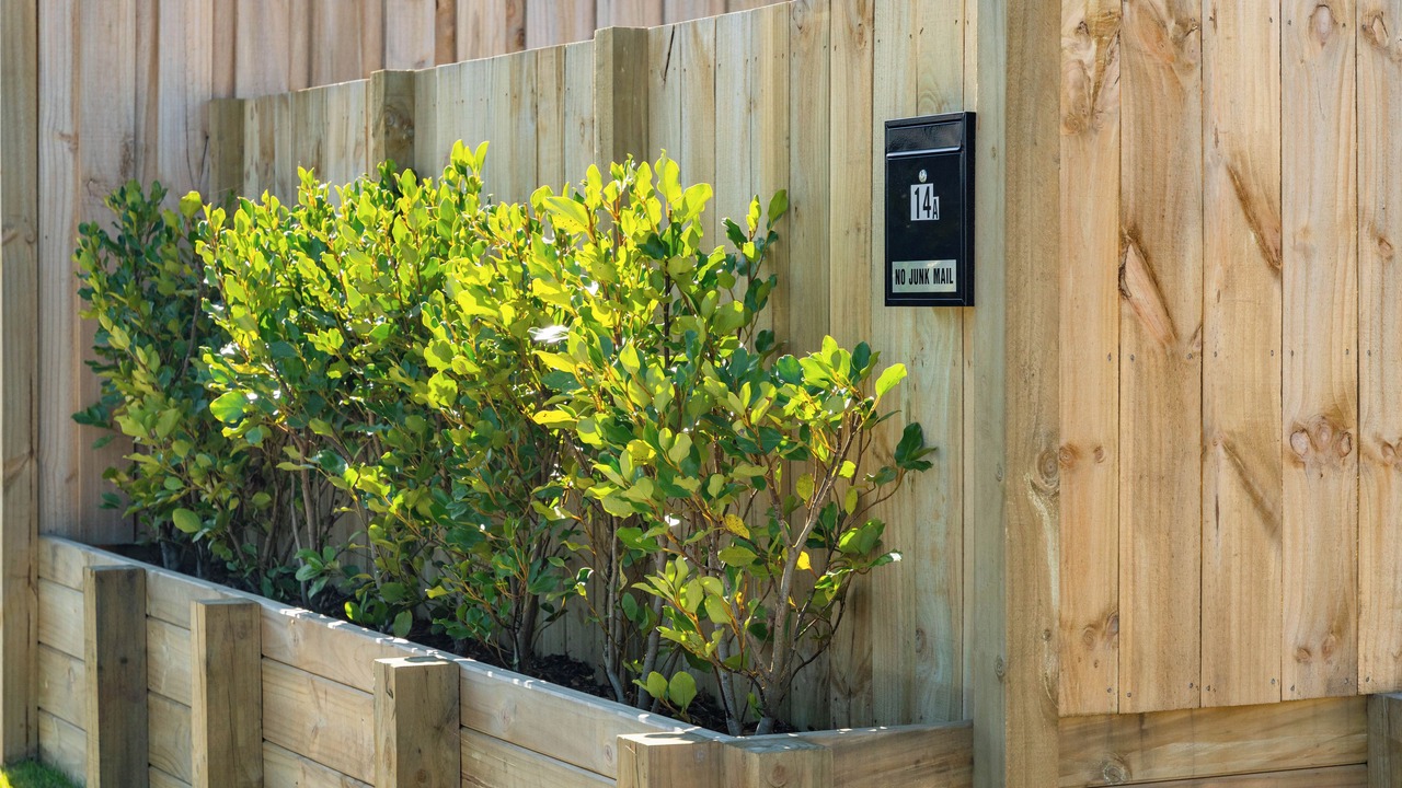 Photo of Outdoor in Taupo