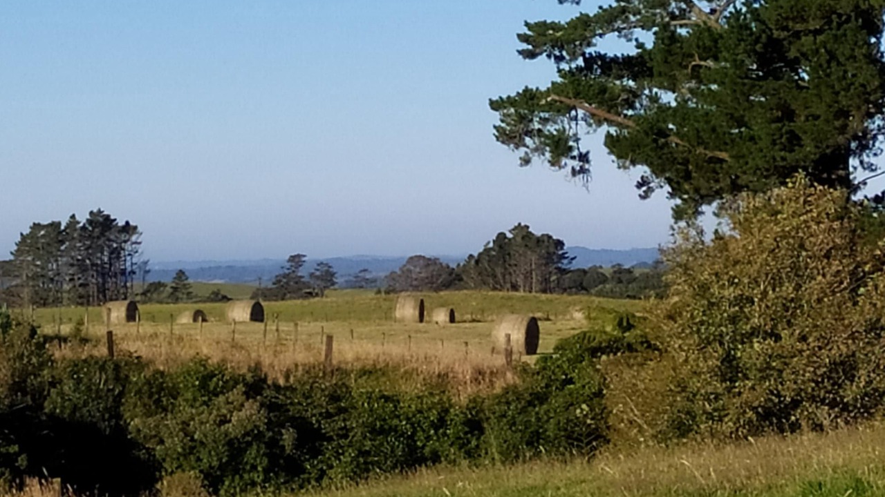 Photo of Others in Midhirst