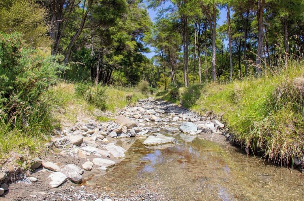 Photo of Others in Wairarapa