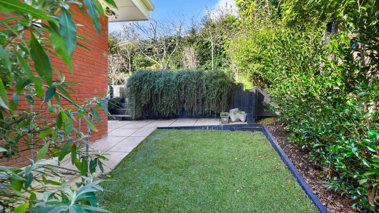 Photo of Outdoor in Auckland
