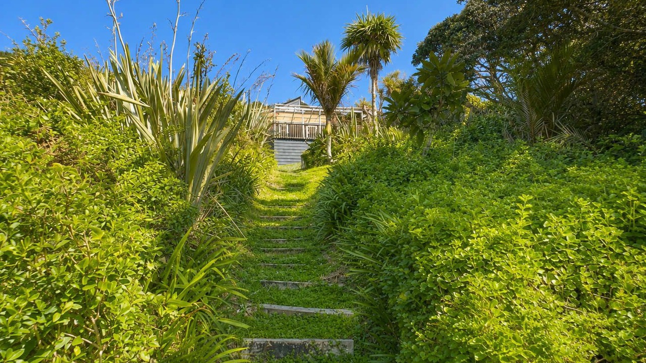 Photo of Outdoor in Waiheke Island