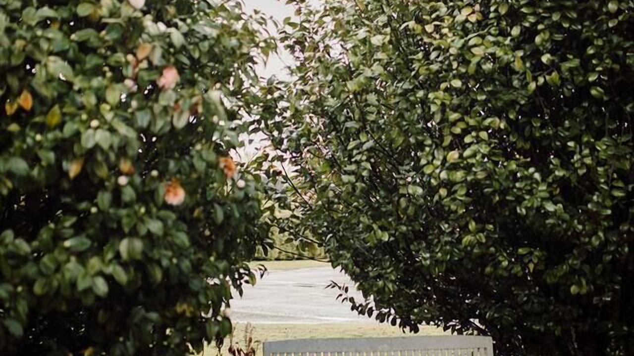 Photo of Outdoor in Reefton