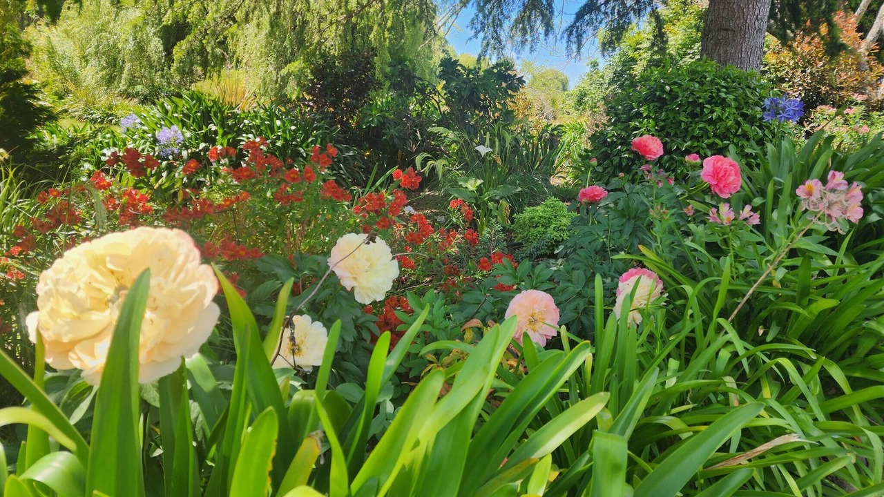 Photo of Outdoor in Motueka