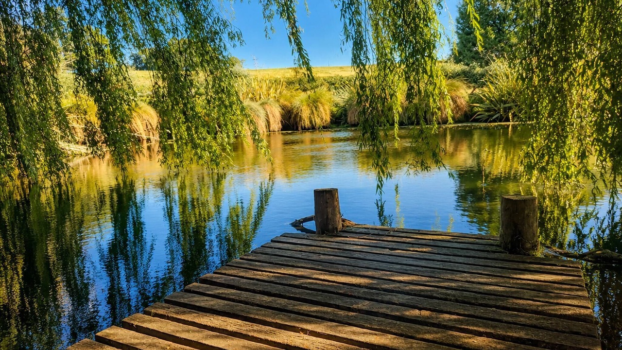 Photo of Others in Motueka