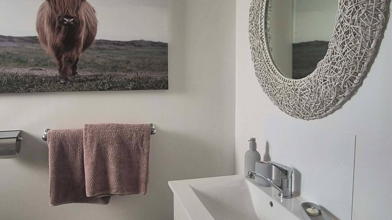 Photo of Bathroom in Motueka
