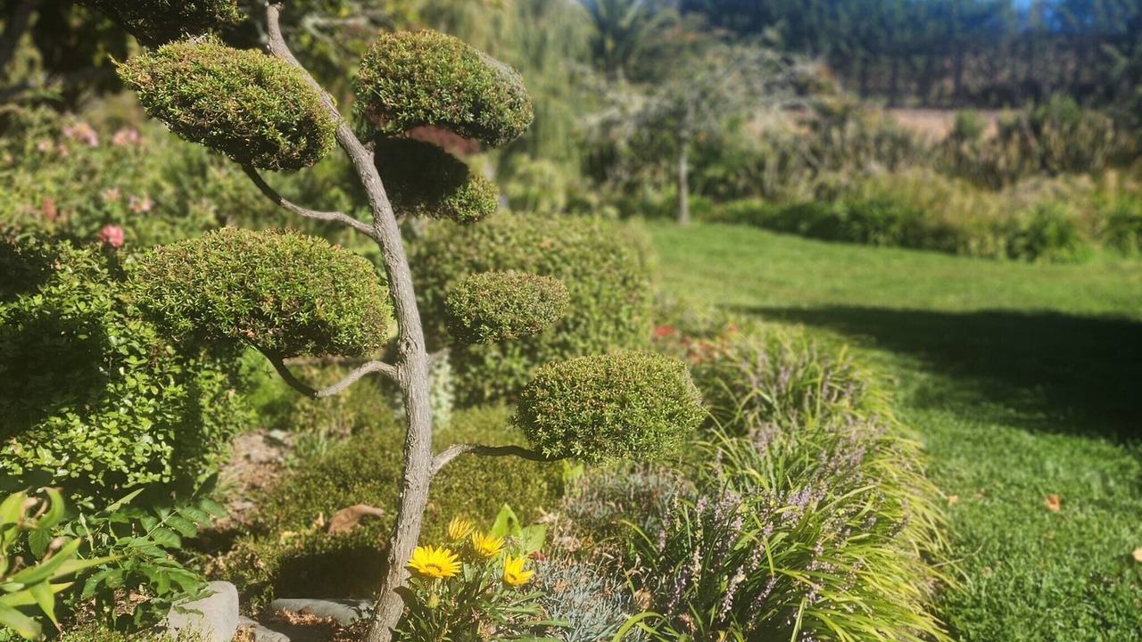 Photo of Outdoor in Motueka