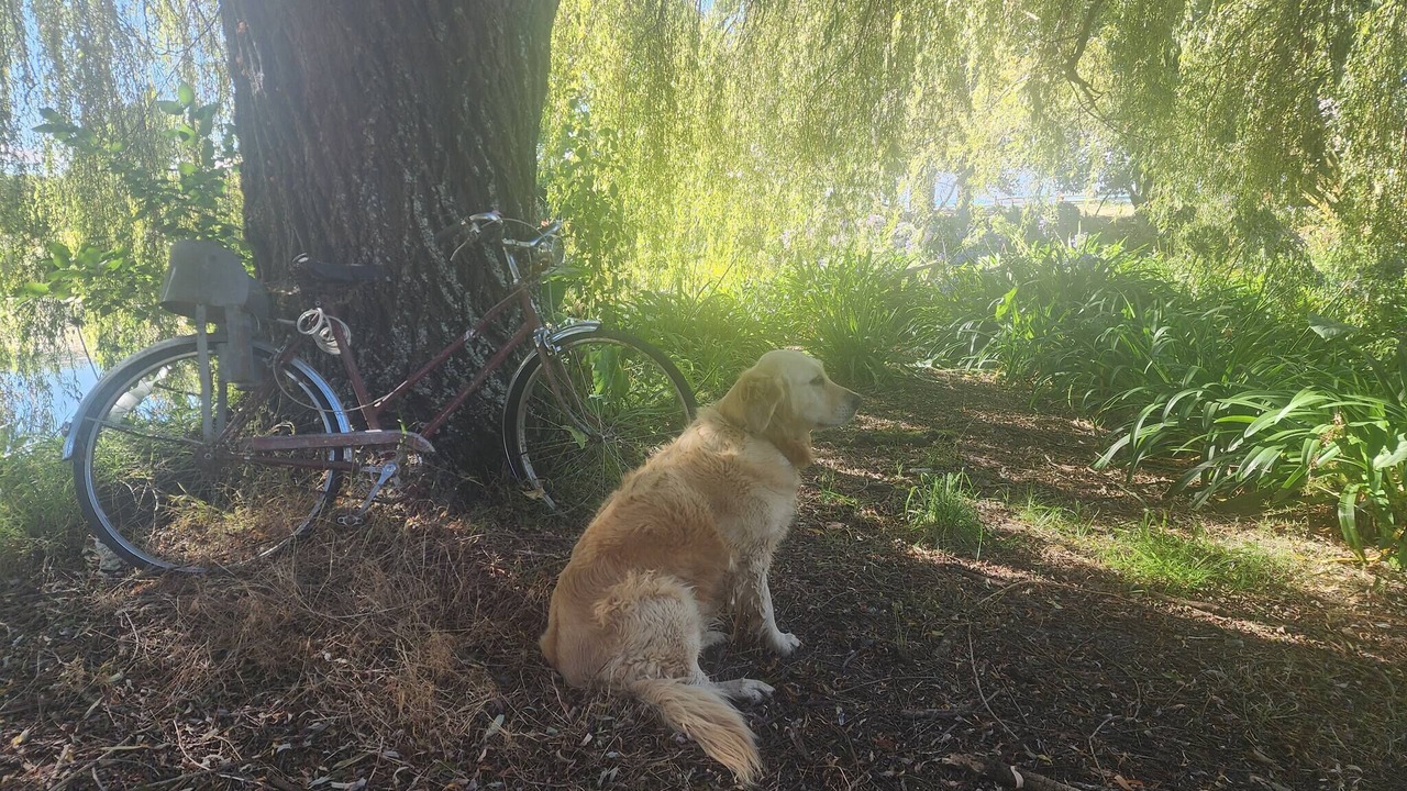 Photo of Outdoor in Motueka