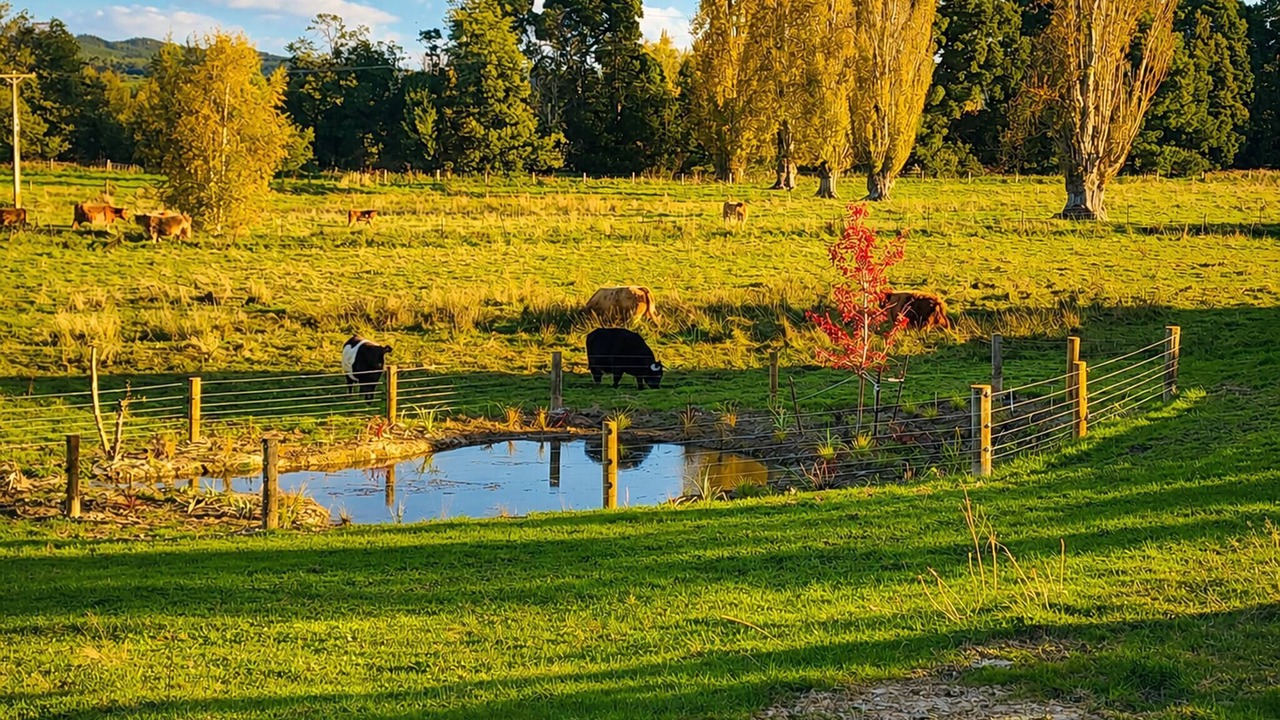 Photo of Others in Motueka