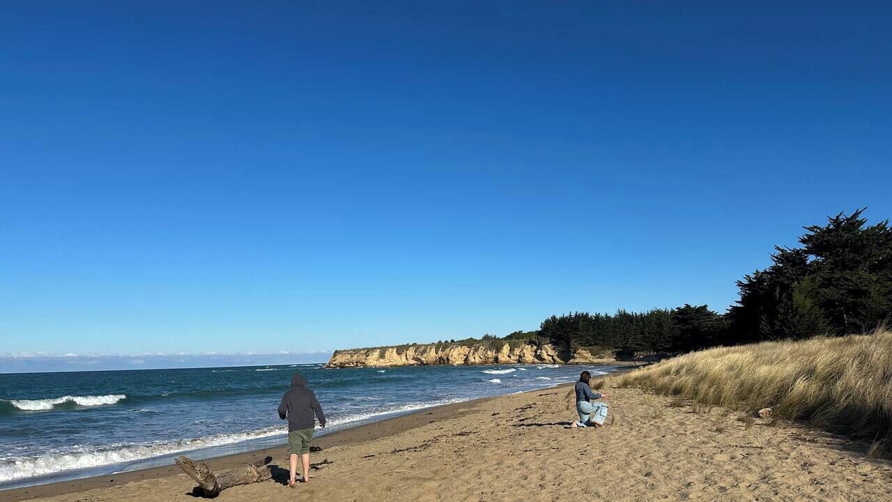 Photo of Others in Kakanui